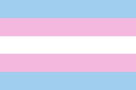 The transgender pride flag